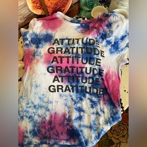 Spiritual Gangster Tie Dye Crew Neck T-shirt Attitude Gratitude Large Blue Pink